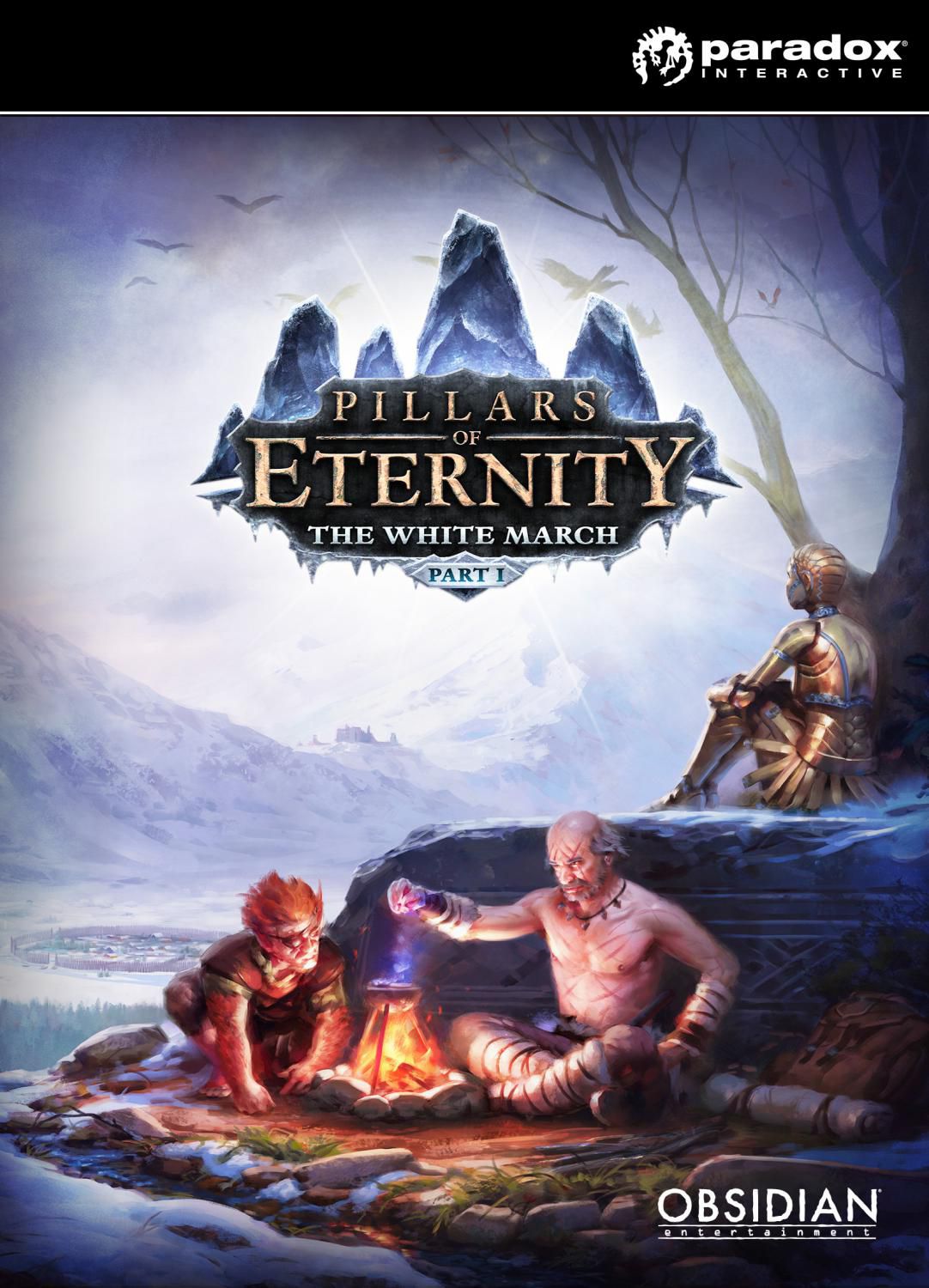 Pillars of Eternity : The White March - Part I  - Jeu vidéo